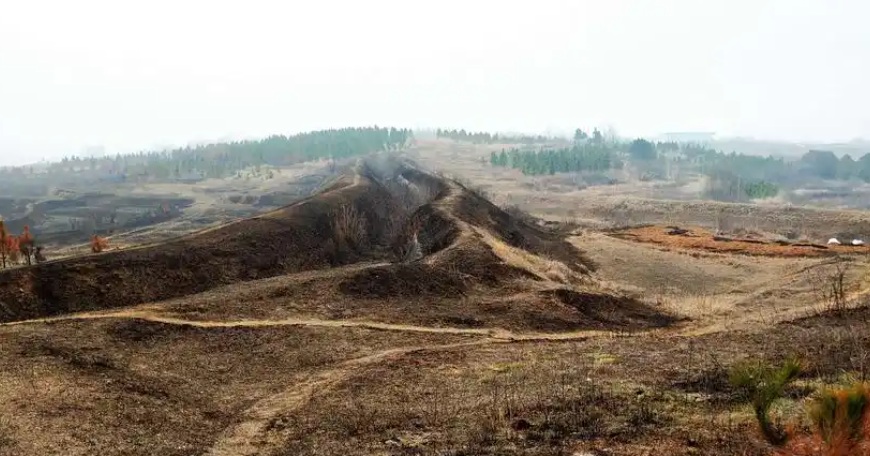 清明將至嚴(yán)防山火，輸電線(xiàn)路防山火在線(xiàn)監(jiān)測(cè)裝置筑牢山林間的電力安全防線(xiàn)