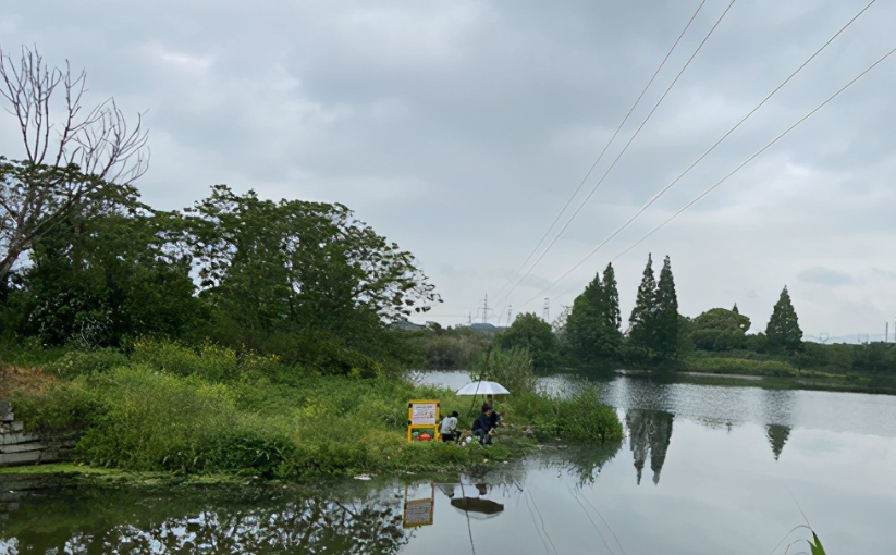 高壓線(xiàn)下不能垂釣,為什么還是發(fā)生這樣的悲?。?></div>
 <div   id=